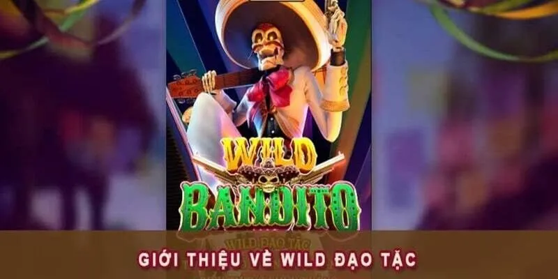 Đôi nét về slot game Wild Đạo Tặc
